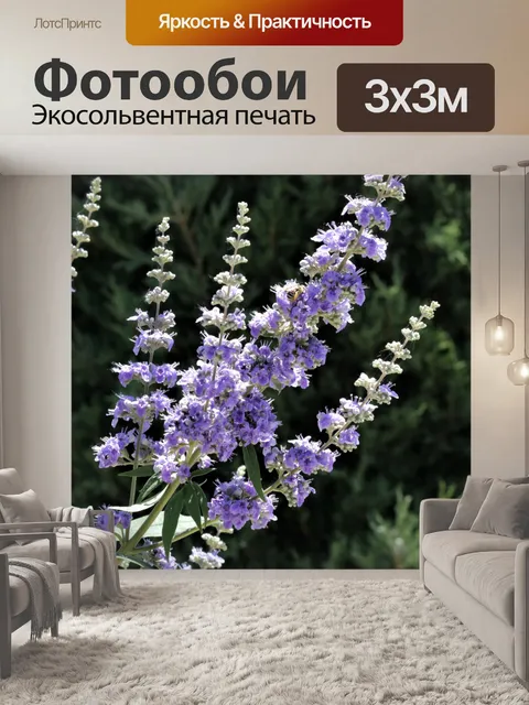 Фотообои Фиолетовая Бабочка Буш Блумс