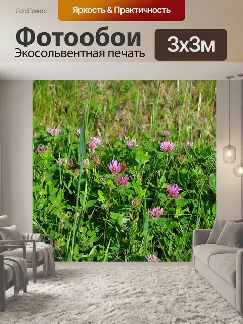 Фотообои Природа