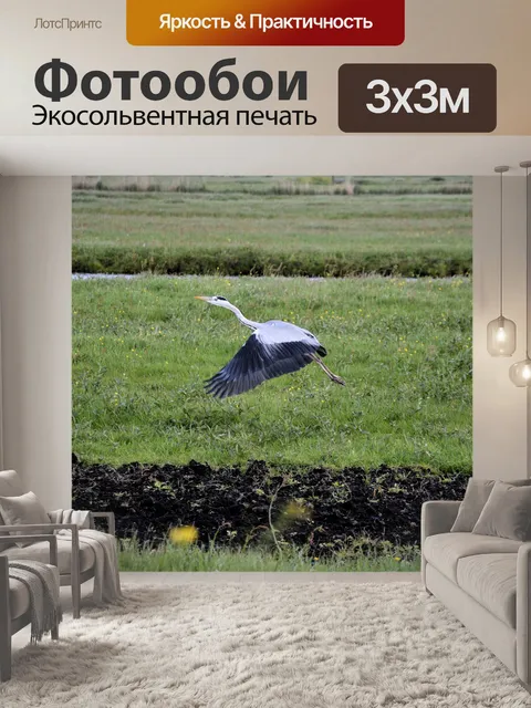 Фотообои Цапля