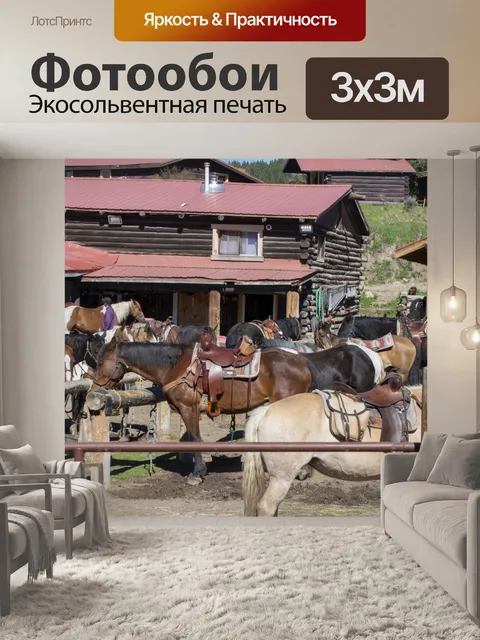 Фотообои лошадь
