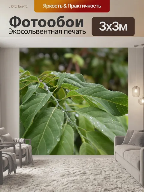 Фотообои Деревья