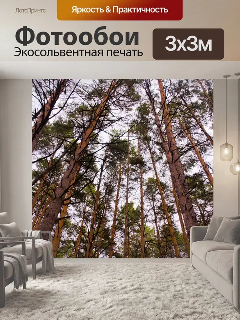Фотообои Лес