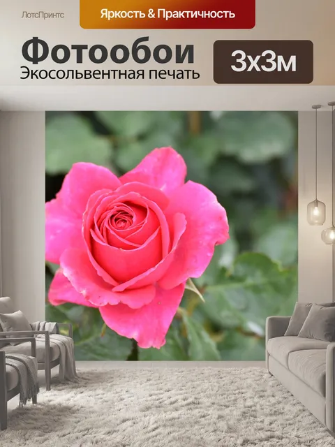 Фотообои Лицзян