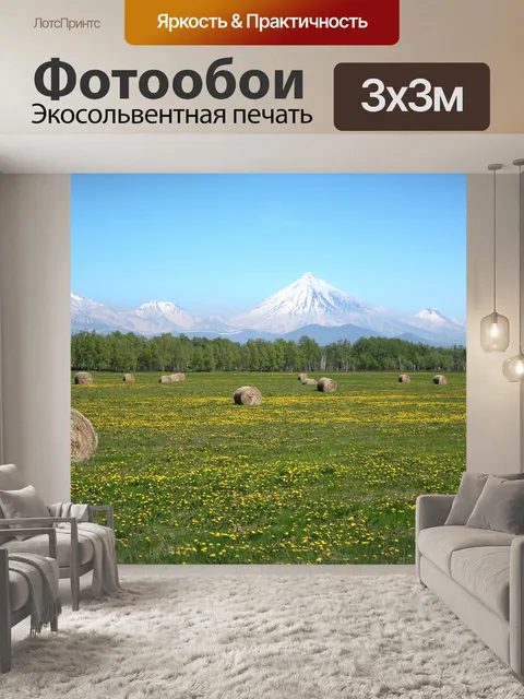 Фотообои Поле