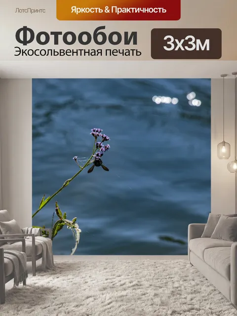 Фотообои Черный шмель