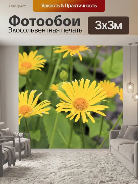 Фотообои Расцветает