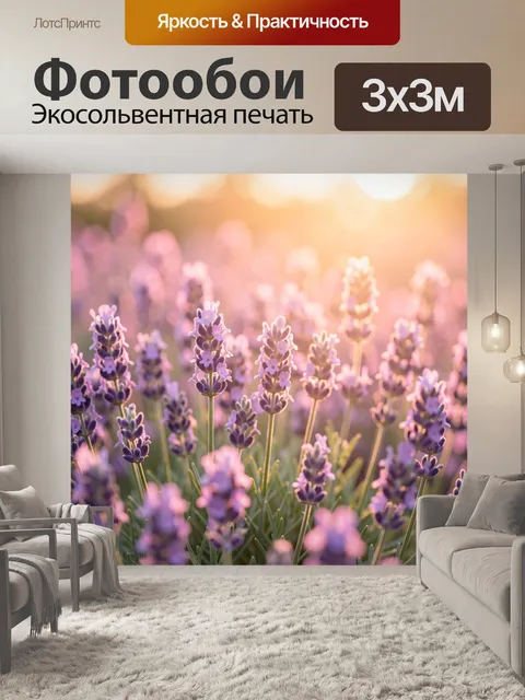 Фотообои Цветущая лаванда на закате