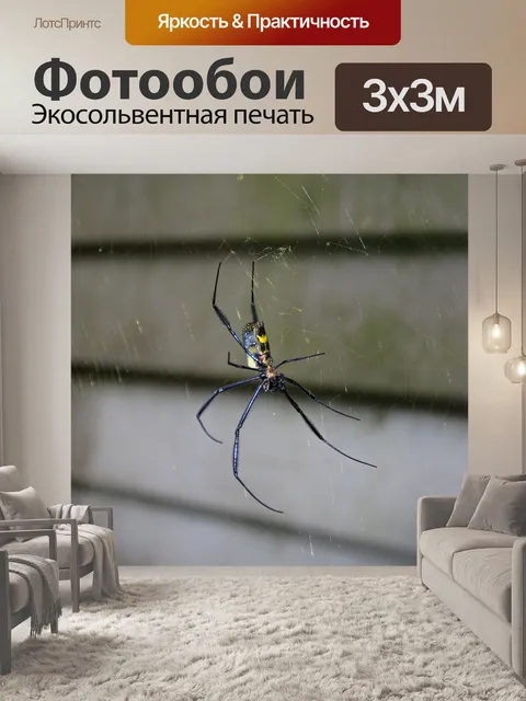Фотообои черный ткач с золотыми шарами