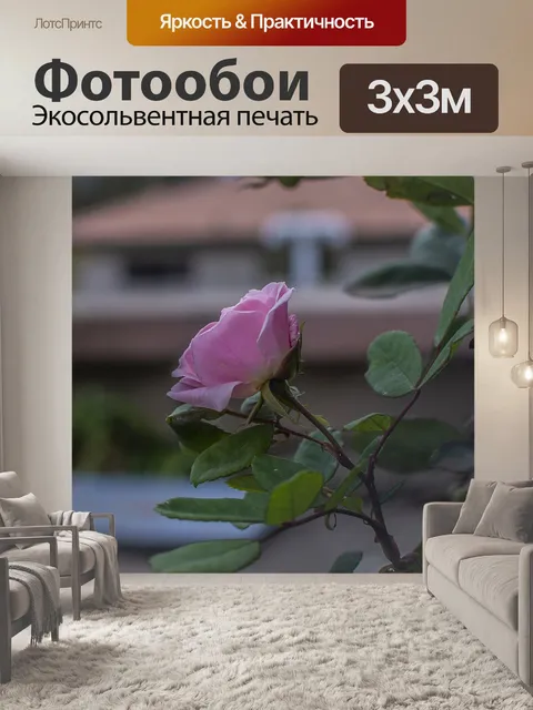 Фотообои Роза
