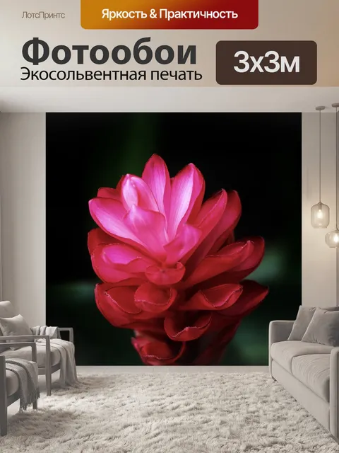 Фотообои Цветы