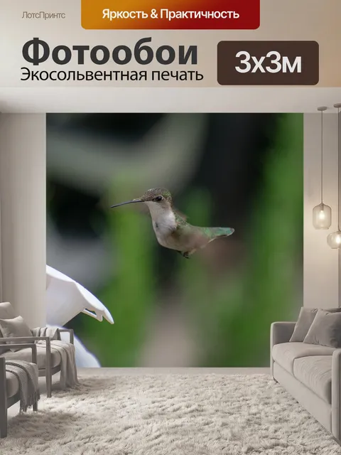 Фотообои Птица