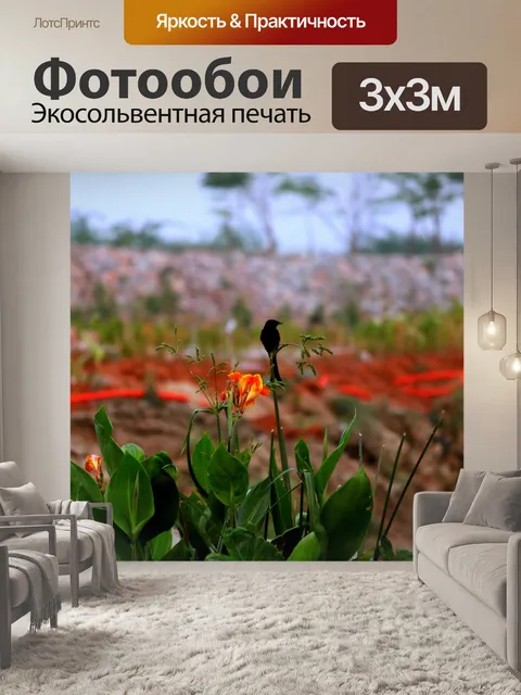 Фотообои Птицы