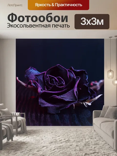 Фотообои Роза