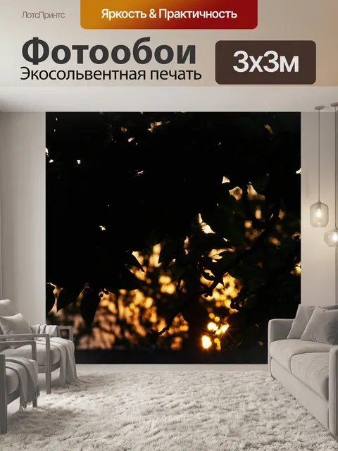 Фотообои закатное солнце сквозь листья