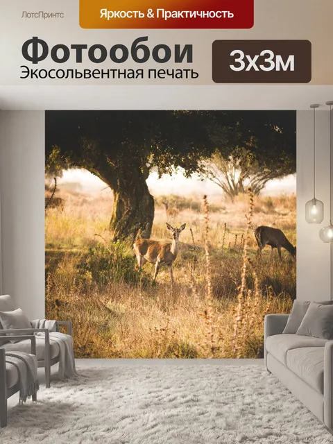 Фотообои Олень