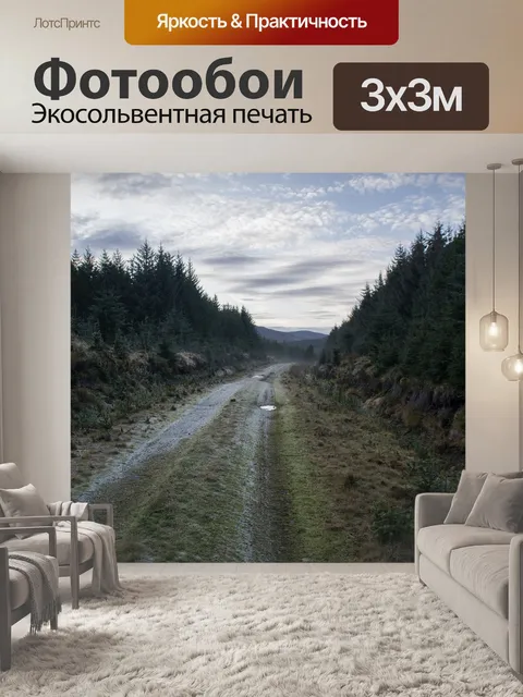 Фотообои Лес
