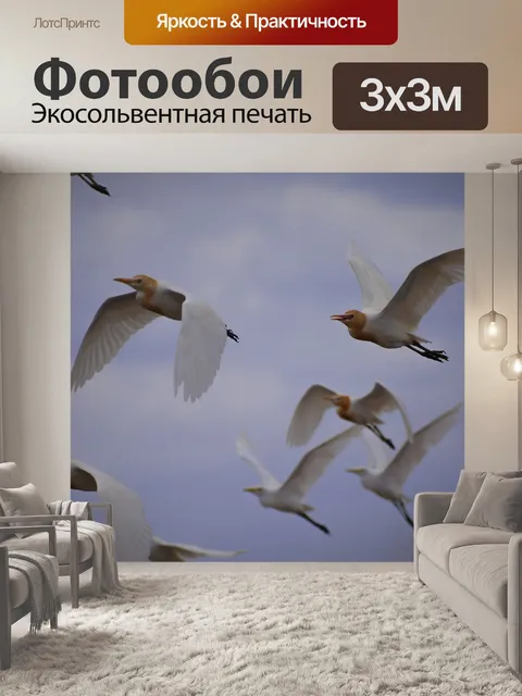 Фотообои Краны