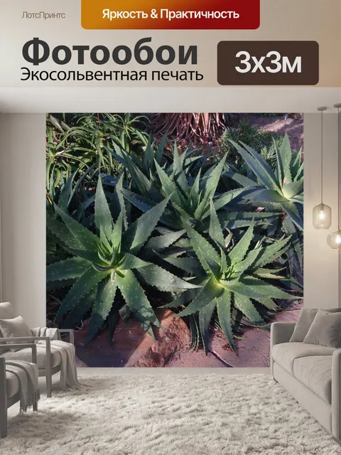Фотообои Тени