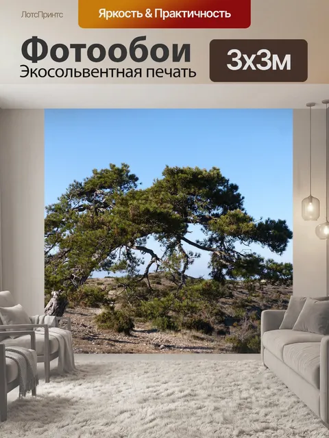 Фотообои Особое дерево