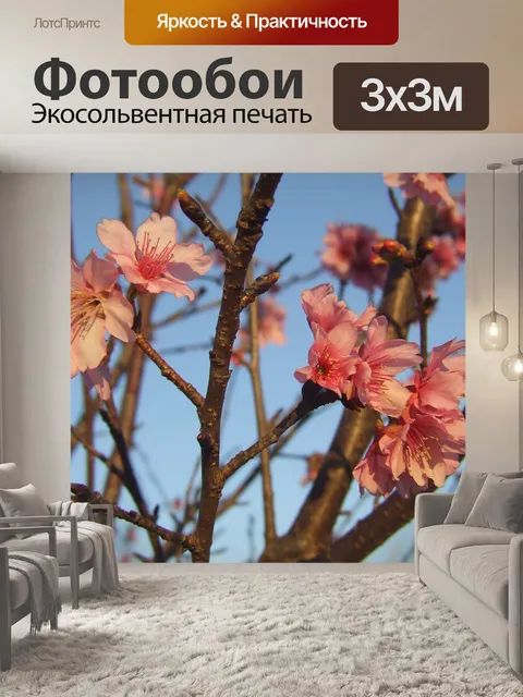 Фотообои Сакура