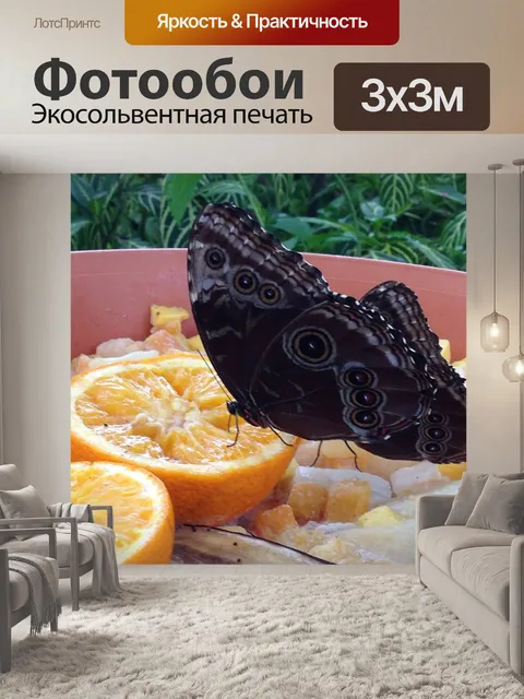 Фотообои Бабочка