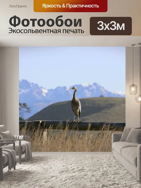 Фотообои Белолицая цапля