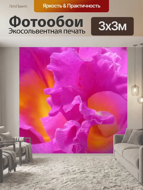 Фотообои Орхидеи