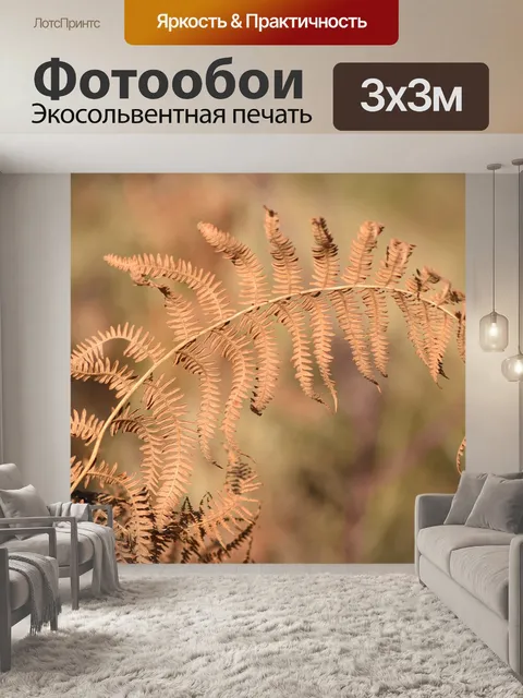 Фотообои Папоротник