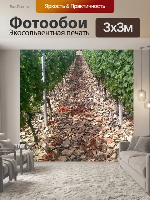 Фотообои Германия