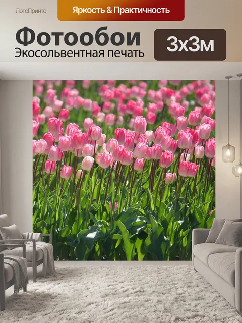 Фотообои Тюльпаны