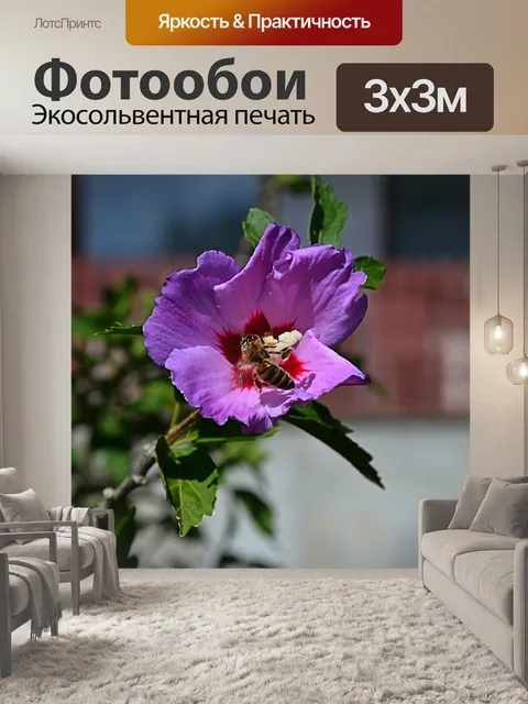 Фотообои Природа