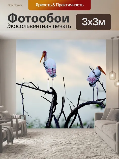 Фотообои Окрашенные аистов
