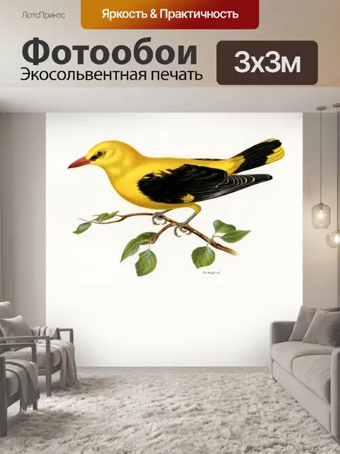 Фотообои Птица винтаж искусство старый