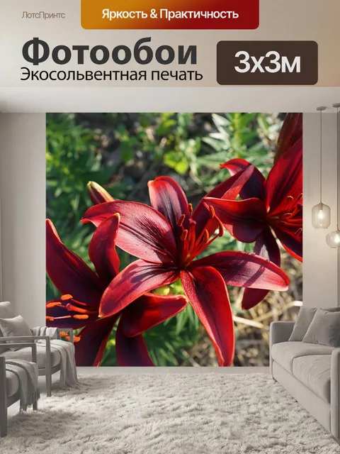 Фотообои Лили