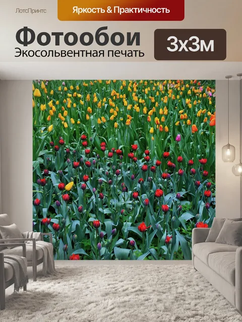 Фотообои тюльпаны, ботанические сады, москва