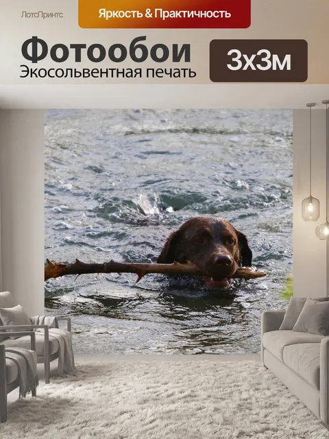 Фотообои Вода