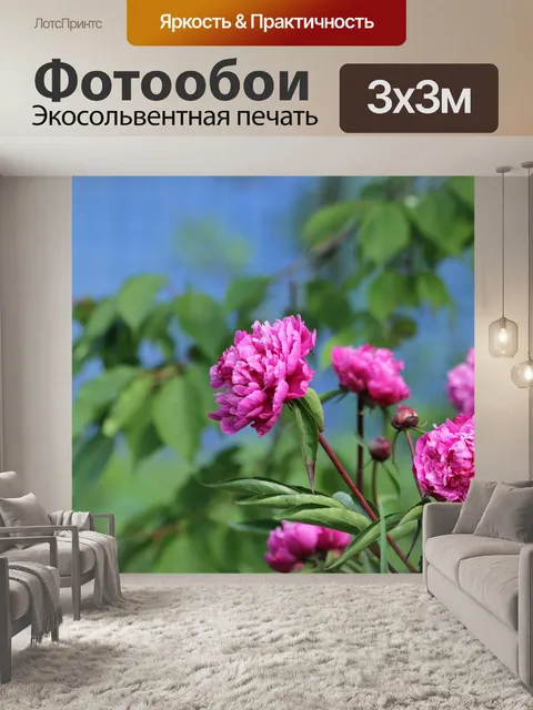 Фотообои Пионы