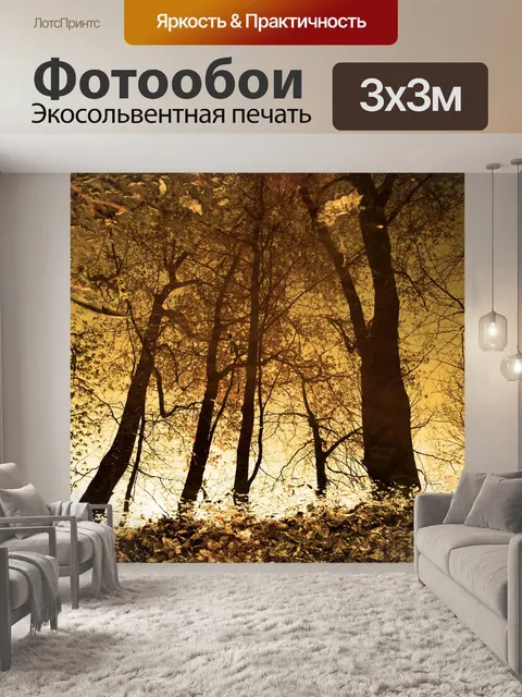 Фотообои Лес