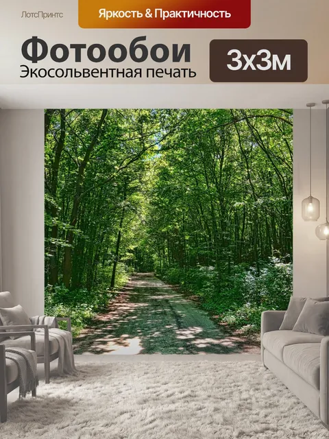 Фотообои Лиственный лес