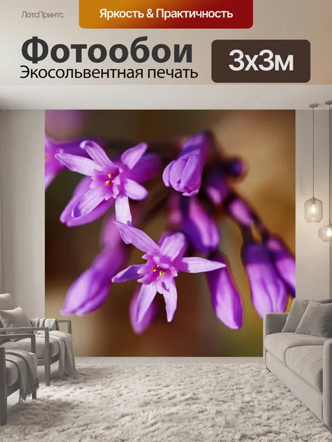 Фотообои соцветия сирени и почки черемши