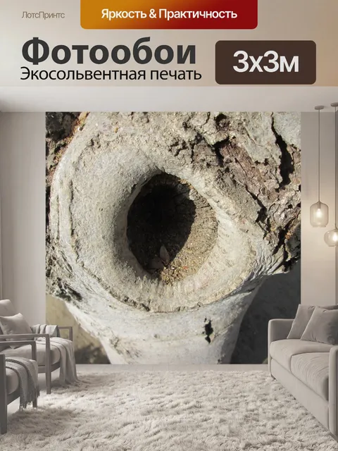 Фотообои Дерево Часть Макро 11