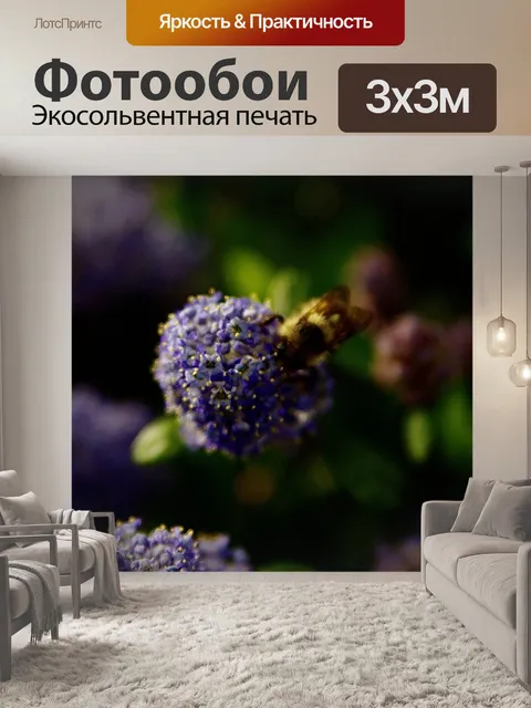 Фотообои Пчела