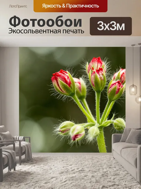 Фотообои Цветы