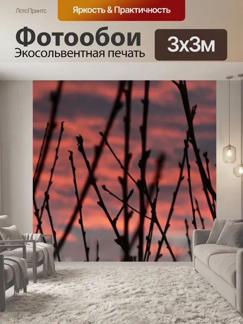 Фотообои Закат