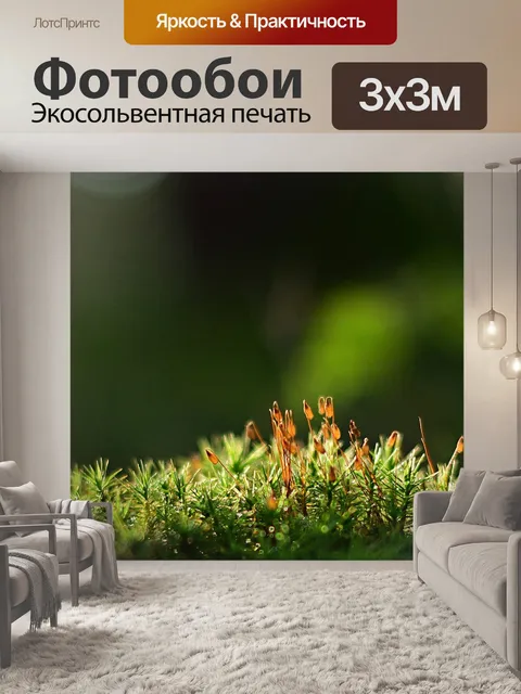 Фотообои Природа