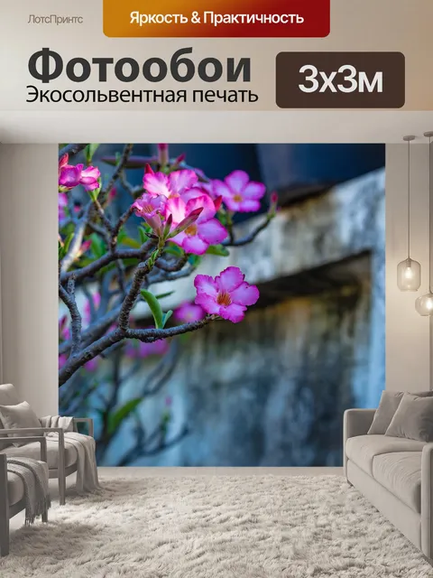 Фотообои Увлекательно