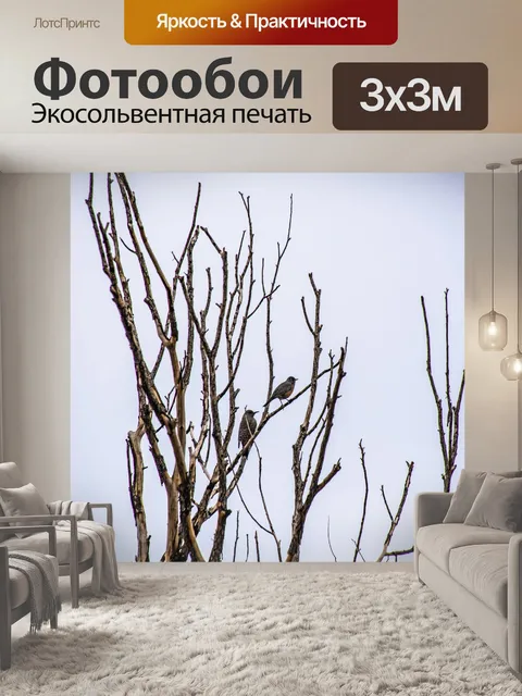 Фотообои Два Робина в Дереве