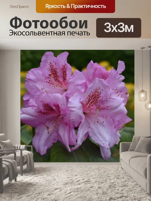 Фотообои Цветы