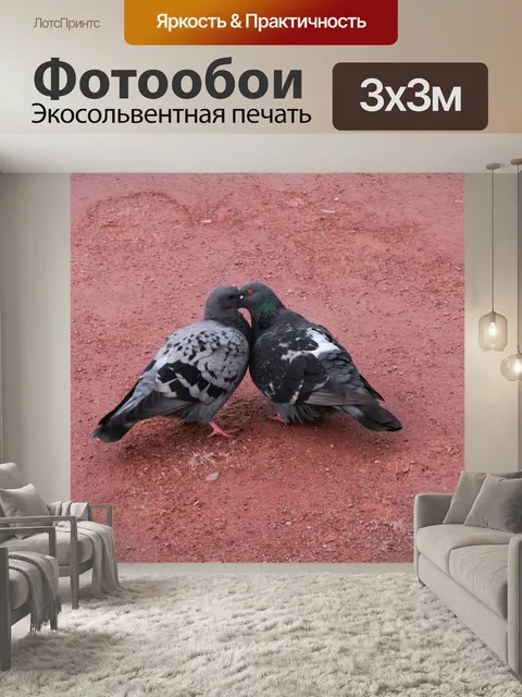 Фотообои Птицы