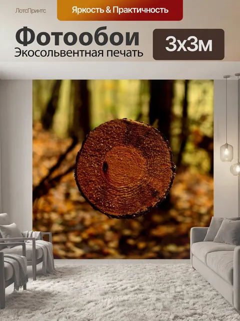 Фотообои Лес